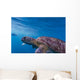 Hawksbill Sea Turtle Wall Mural