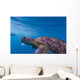 Hawksbill Sea Turtle Wall Mural