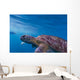 Hawksbill Sea Turtle Wall Mural