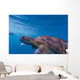 Hawksbill Sea Turtle Wall Mural