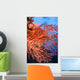 Soft Corals Palau Wall Mural