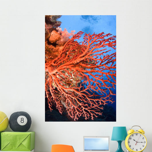 Soft Corals Palau Wall Mural