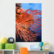 Soft Corals Palau Wall Mural