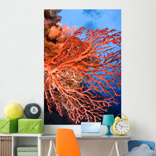 Soft Corals Palau Wall Mural