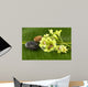 Bowl Green Orchids and