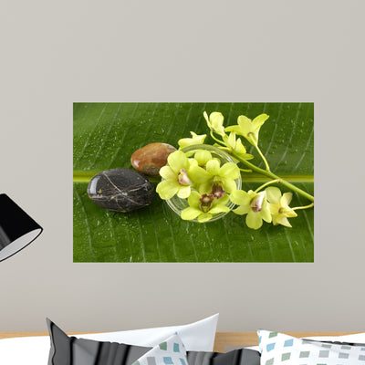Bowl Green Orchids and shown on a wall