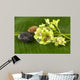 Bowl Green Orchids and