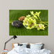 Bowl Green Orchids and