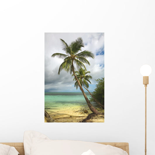 Tropical beach with palm tree Wall Mural