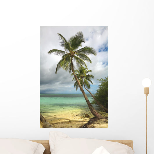 Tropical beach with palm tree Wall Mural
