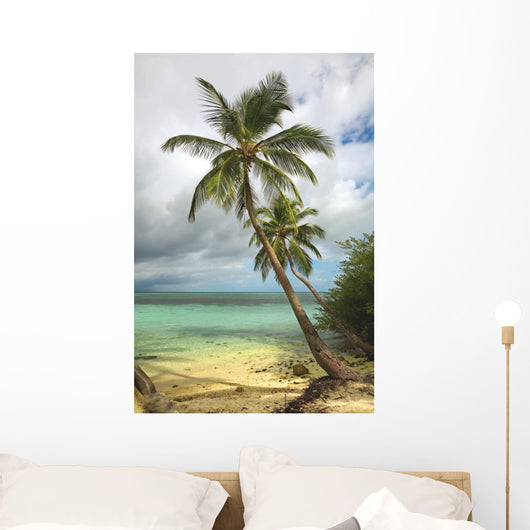 Tropical beach with palm tree Wall Mural