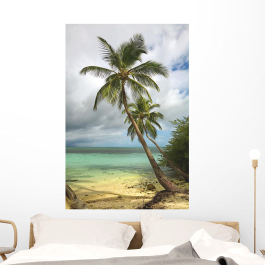Tropical beach with palm tree Wall Mural