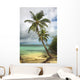 Tropical beach with palm tree Wall Mural