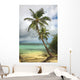Tropical beach with palm tree Wall Mural