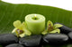 Green spa still life with zen stones and candle ,orchid Wall Decal