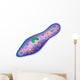 Paramecium Wall Decal