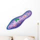 Paramecium Wall Decal