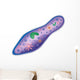 Paramecium Wall Decal