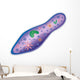 Paramecium Wall Decal