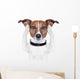 Covering Ears Dog