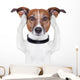 Covering Ears Dog