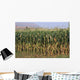 Corn Field Wall Mural