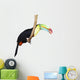 Toucan isolated on white Wall Decal
