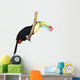 Toucan isolated on white Wall Decal