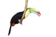Toucan isolated on white Wall Decal