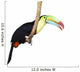 Toucan isolated on white Wall Decal