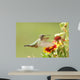 Broad-tailed Hummingbird Female Selasphorus