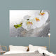 White Beautiful Orchids with