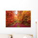 Magnificent colors of autumn forest road in October Wall Mural