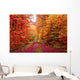 Magnificent colors of autumn forest road in October Wall Mural