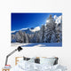 Snowy Fir Forest