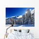 Snowy Fir Forest