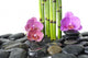 Spa Pebble Stones Bamboo