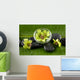 Green Spabowl Orchids and Wall Mural