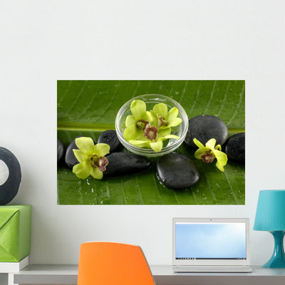 Green Spabowl Orchids and Wall Mural shown on a wall