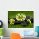 Green Spabowl Orchids and Wall Mural