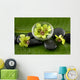 Green Spabowl Orchids and Wall Mural