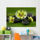 Green Spabowl Orchids and Wall Mural