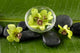 Green Spabowl Orchids and Wall Mural
