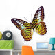 Clipper Butterfly Wall Mural