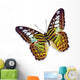 Clipper Butterfly Wall Mural