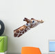 Giraffe Head Wall Decal