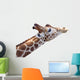 Giraffe Head Wall Decal
