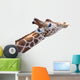 Giraffe Head Wall Decal