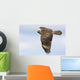 Red-shouldered Hawk Soaring Wall Mural