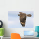 Red-shouldered Hawk Soaring Wall Mural